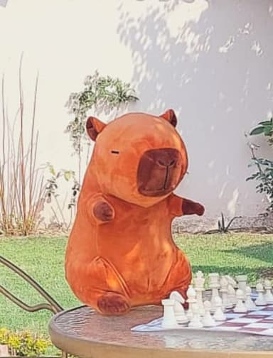 Mascota Gauchito